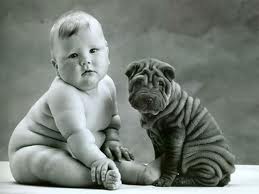 wrinkled babies