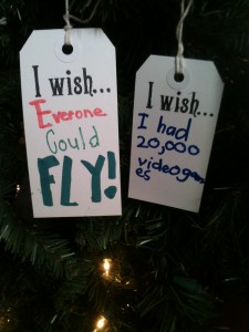 I wish everyone could fly!