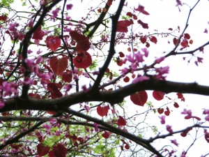 hearts and flowers